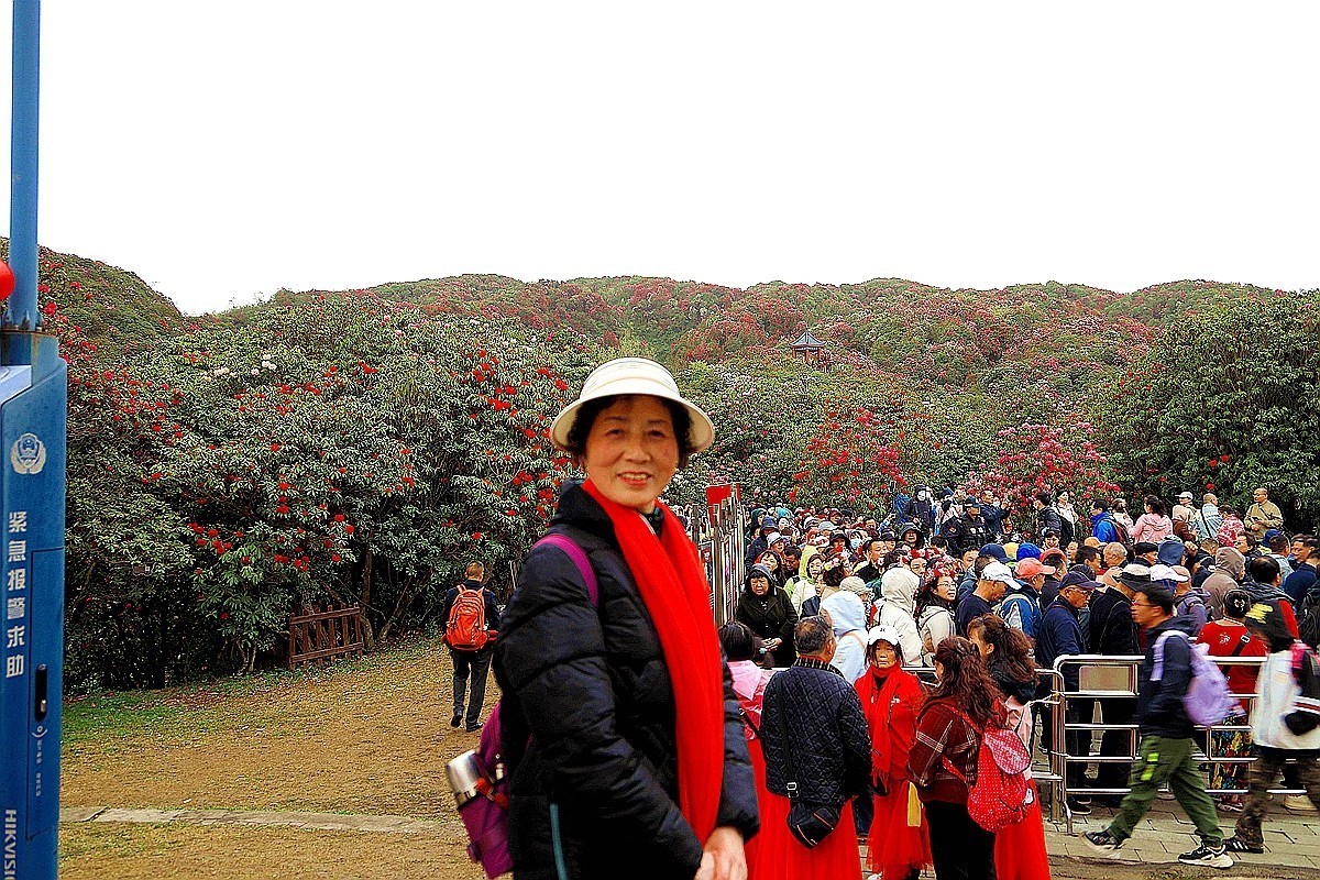 百里杜鹃拍游人