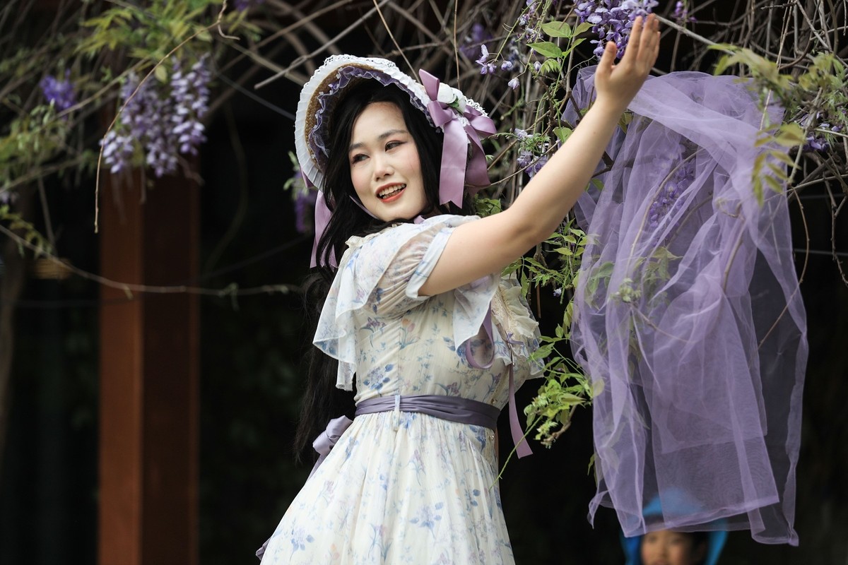 月湖公园紫腾花--6