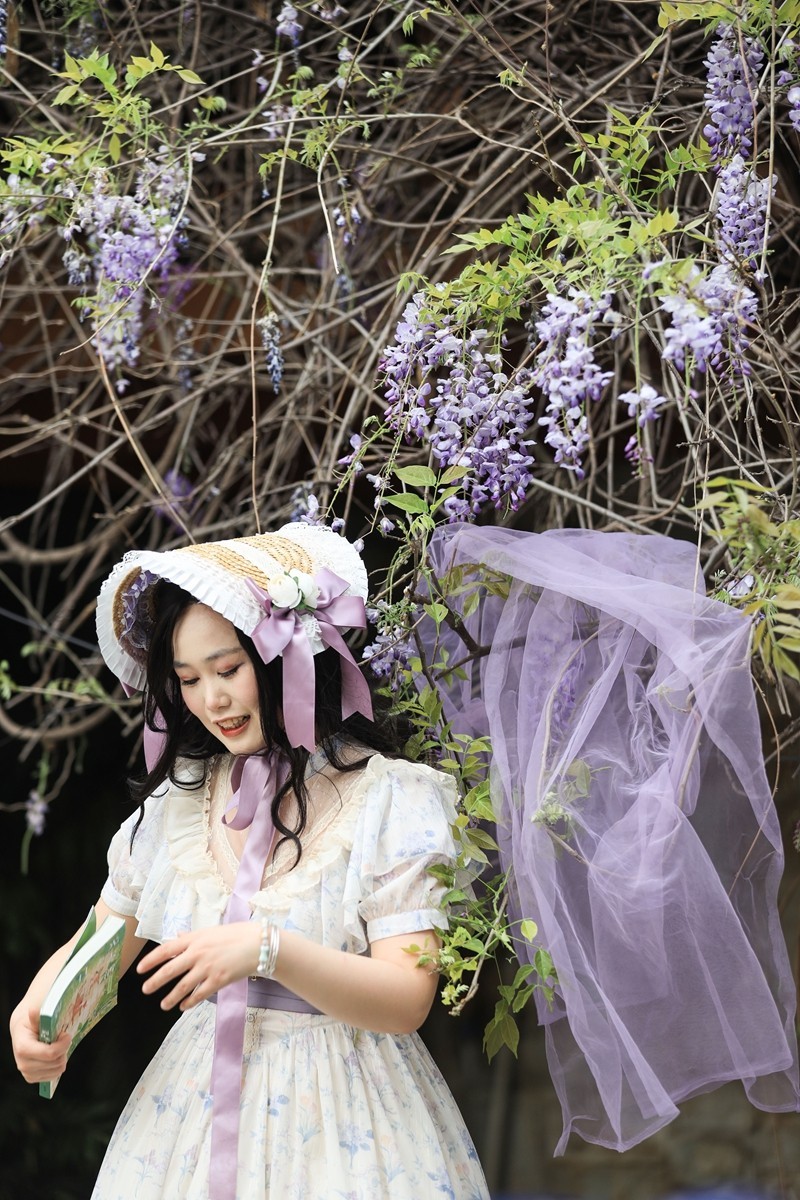 月湖公园紫腾花--6