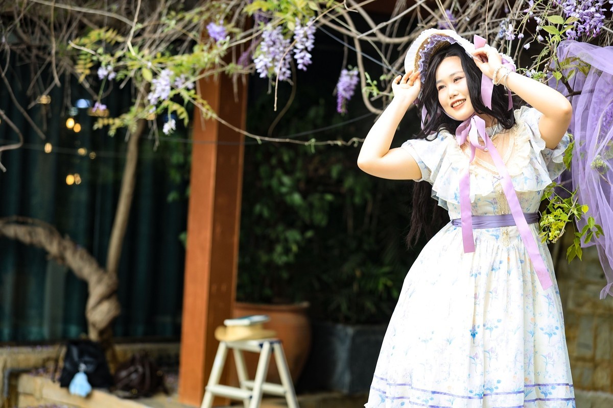 月湖公园紫腾花--6