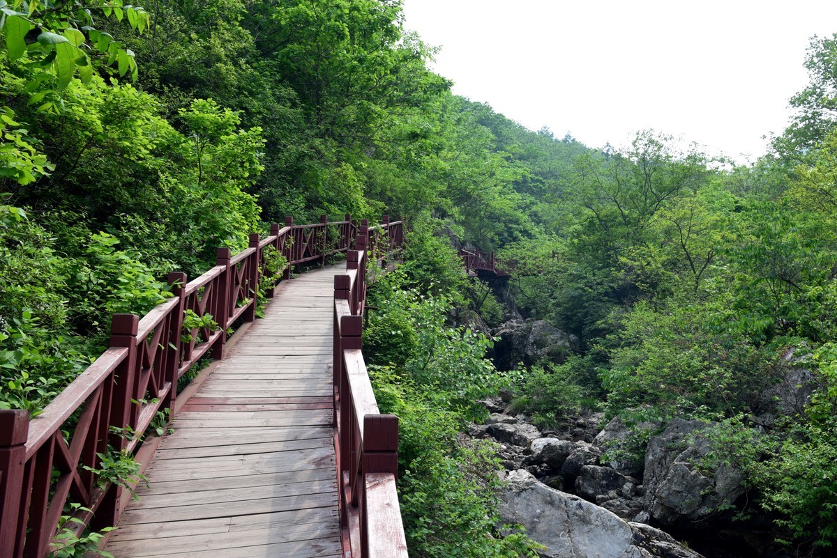 游拍庄河云盘谷（二）