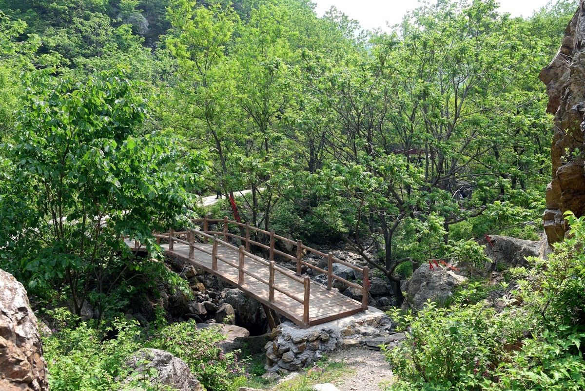 游拍庄河云盘谷（二）