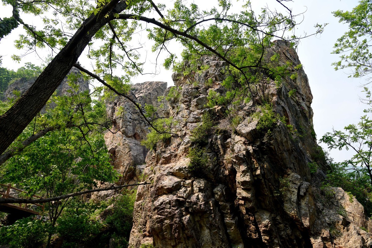 游拍庄河云盘谷（二）