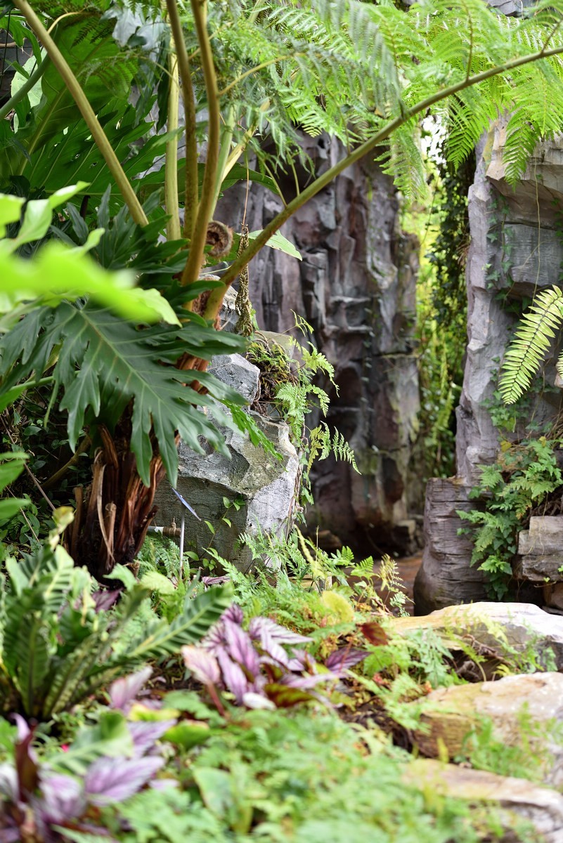 北京植物园南区温室看花     1/3