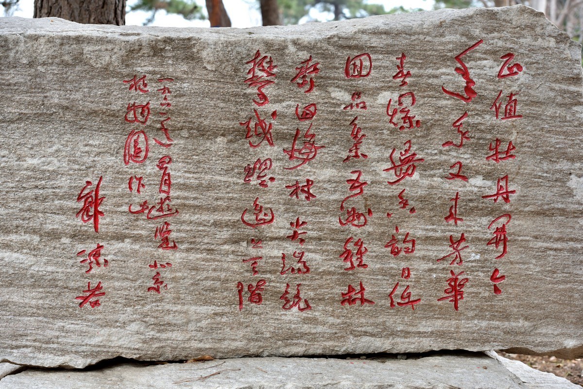 北京植物园南区温室看花     1/3