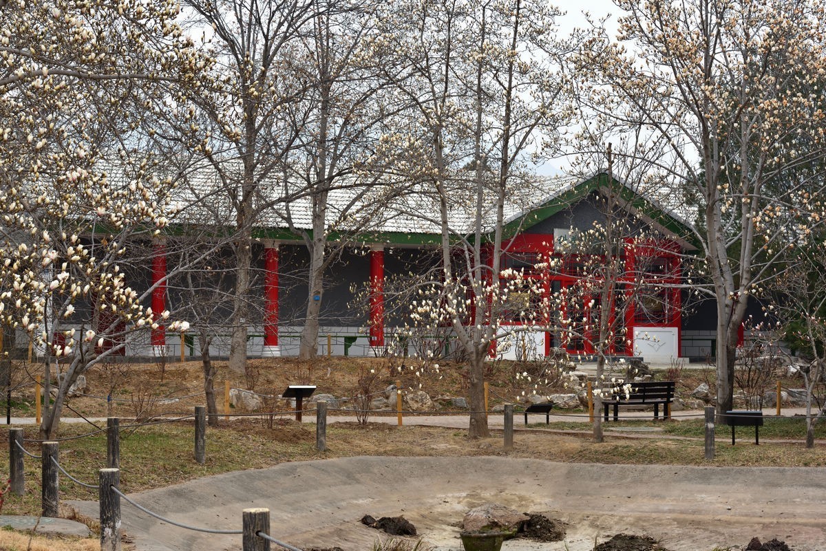 北京植物园南区温室看花     1/3