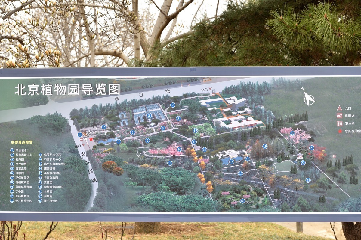 北京植物园南区温室看花   3/3