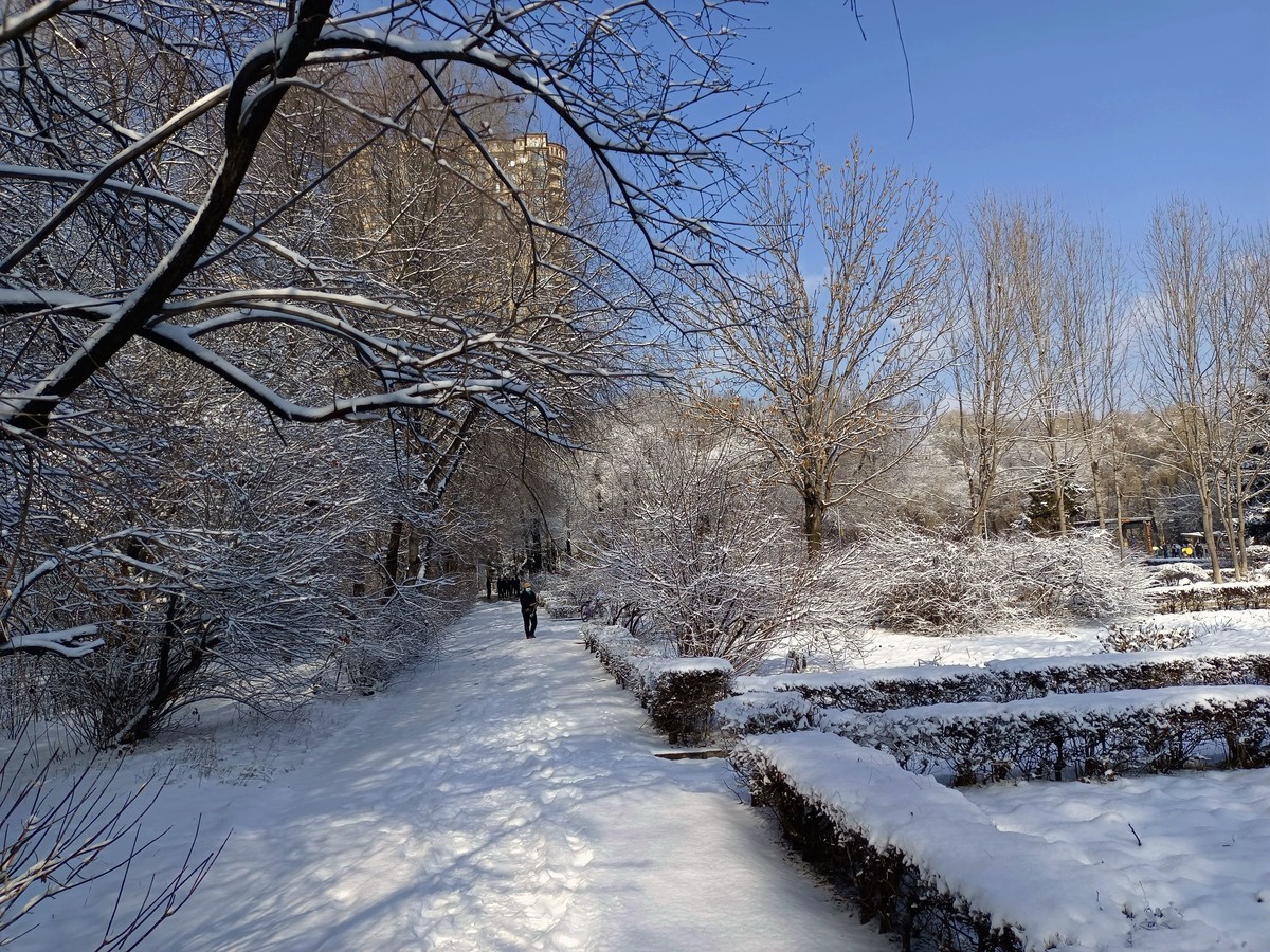 手机拍照人民公园雪景4