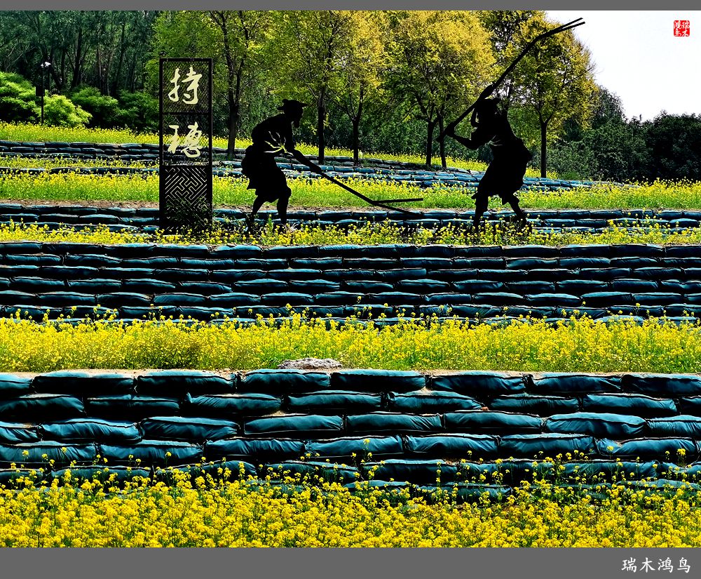 【印象北坞】层层梯田水映天空光