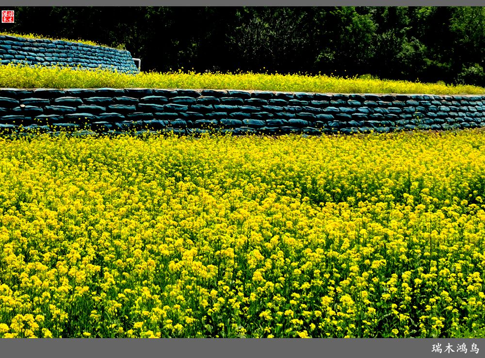 【印象北坞】层层梯田水映天空光