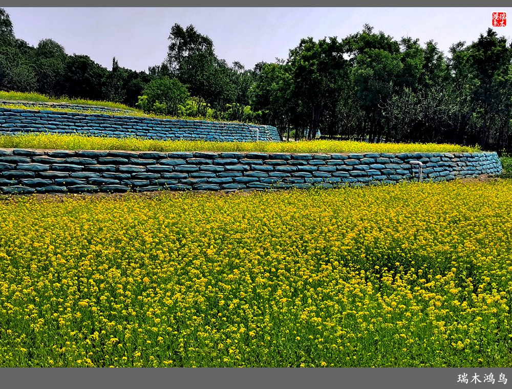 【印象北坞】层层梯田水映天空光