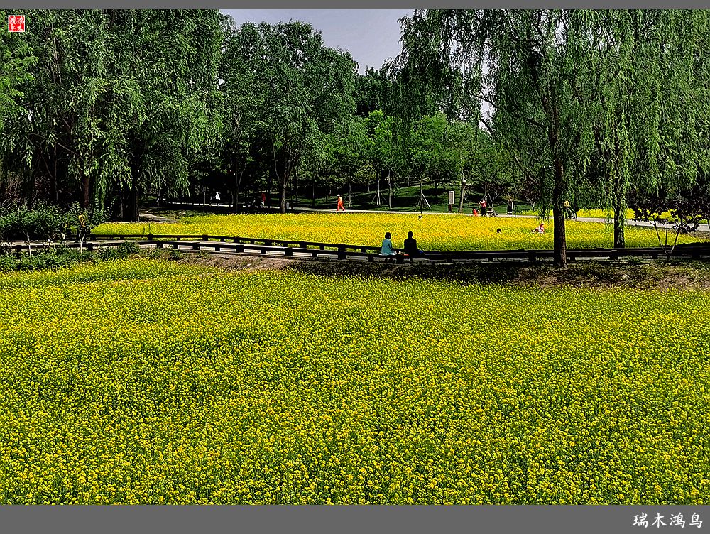 【印象北坞】层层梯田水映天空光