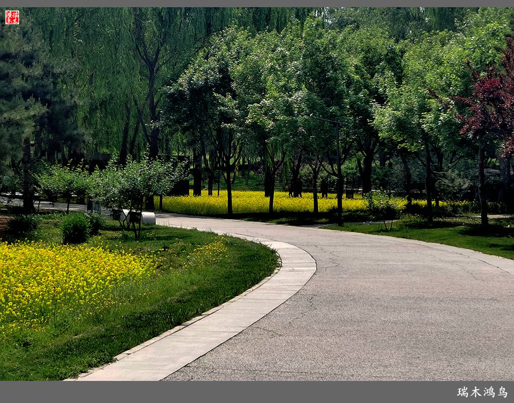 【印象北坞】层层梯田水映天空光