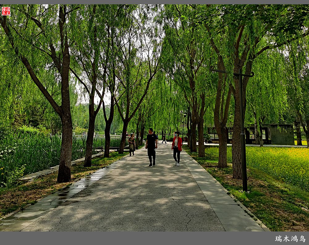 【印象北坞】层层梯田水映天空光