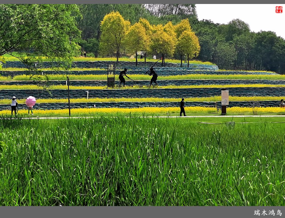 【印象北坞】层层梯田水映天空光