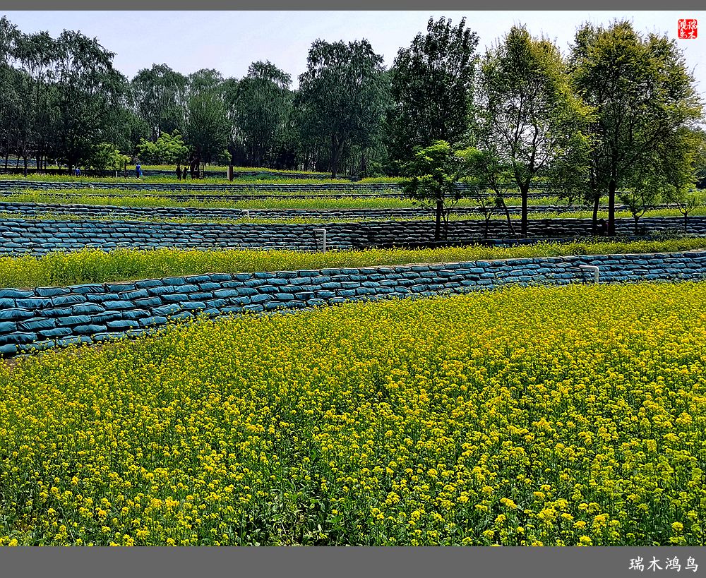 【印象北坞】层层梯田水映天空光