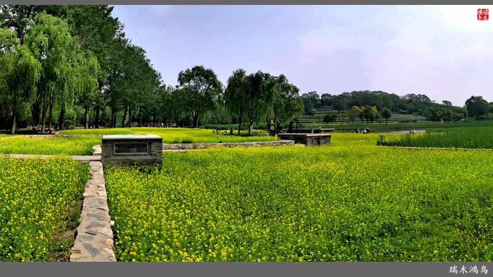 【印象北坞】层层梯田水映天空光