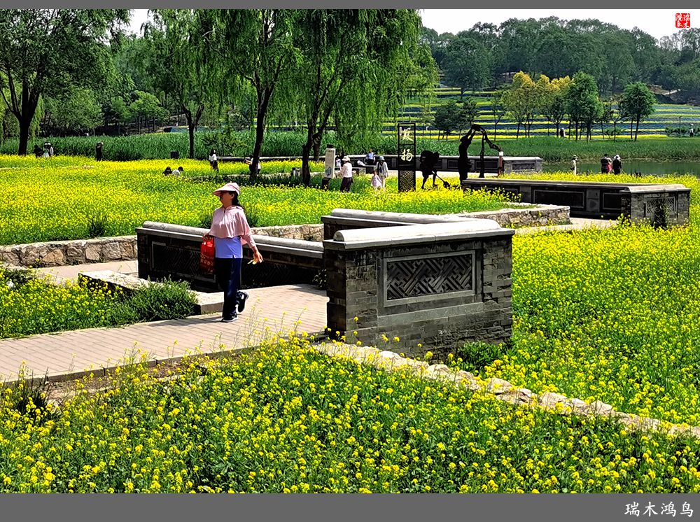【印象北坞】层层梯田水映天空光