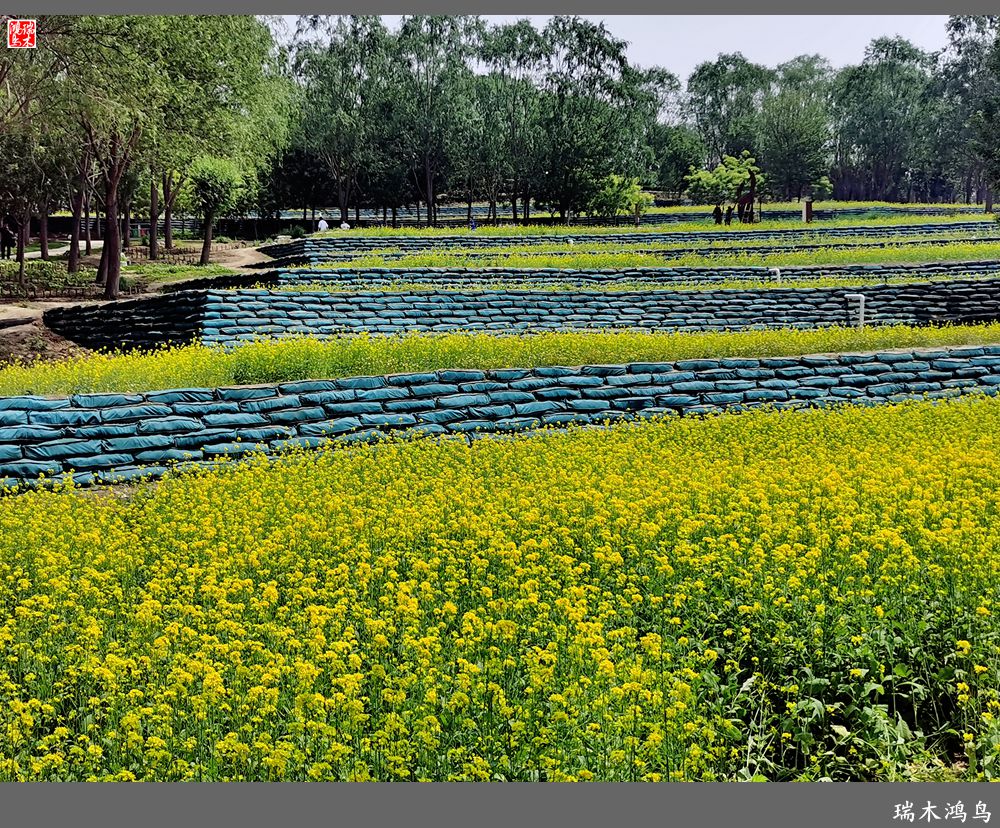 【印象北坞】层层梯田水映天空光