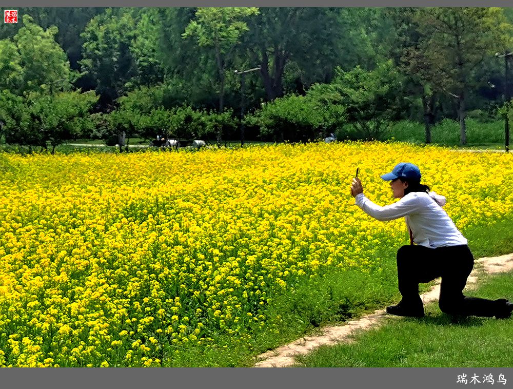 【印象北坞】层层梯田水映天空光