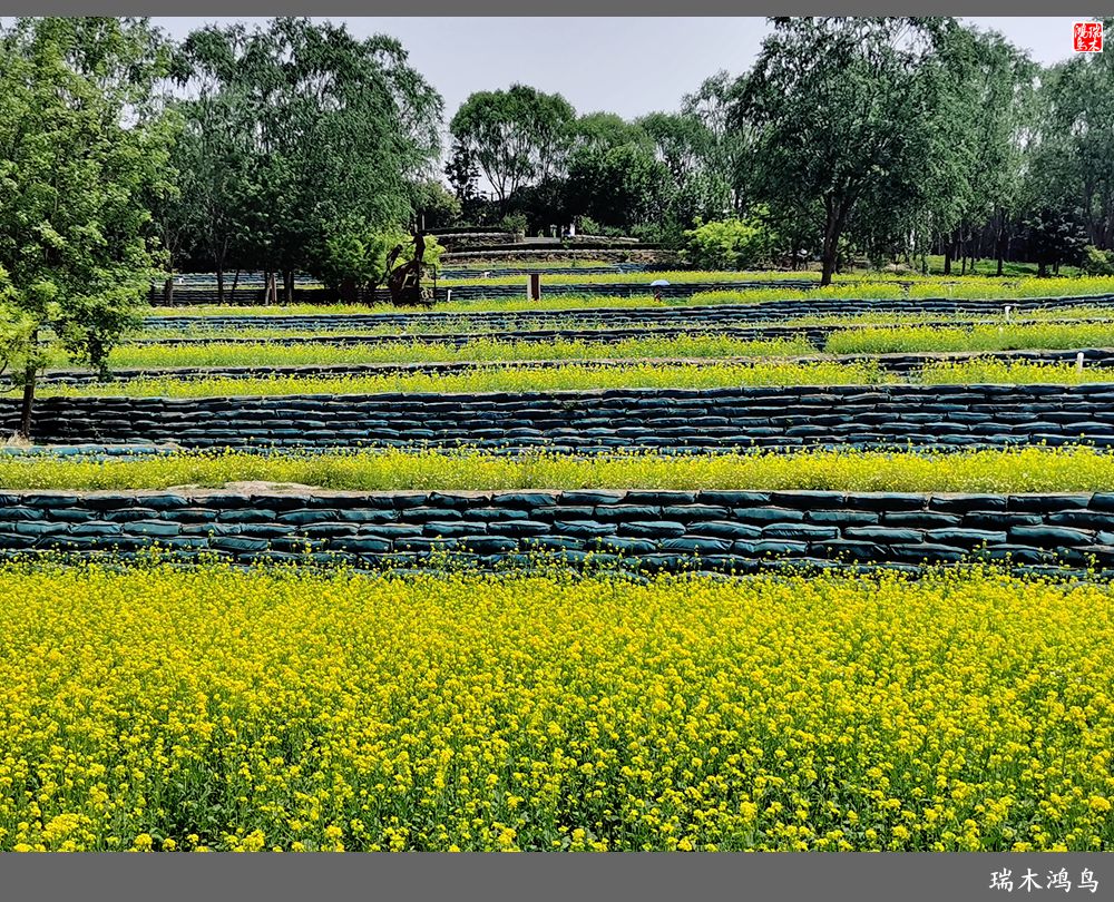 【印象北坞】层层梯田水映天空光