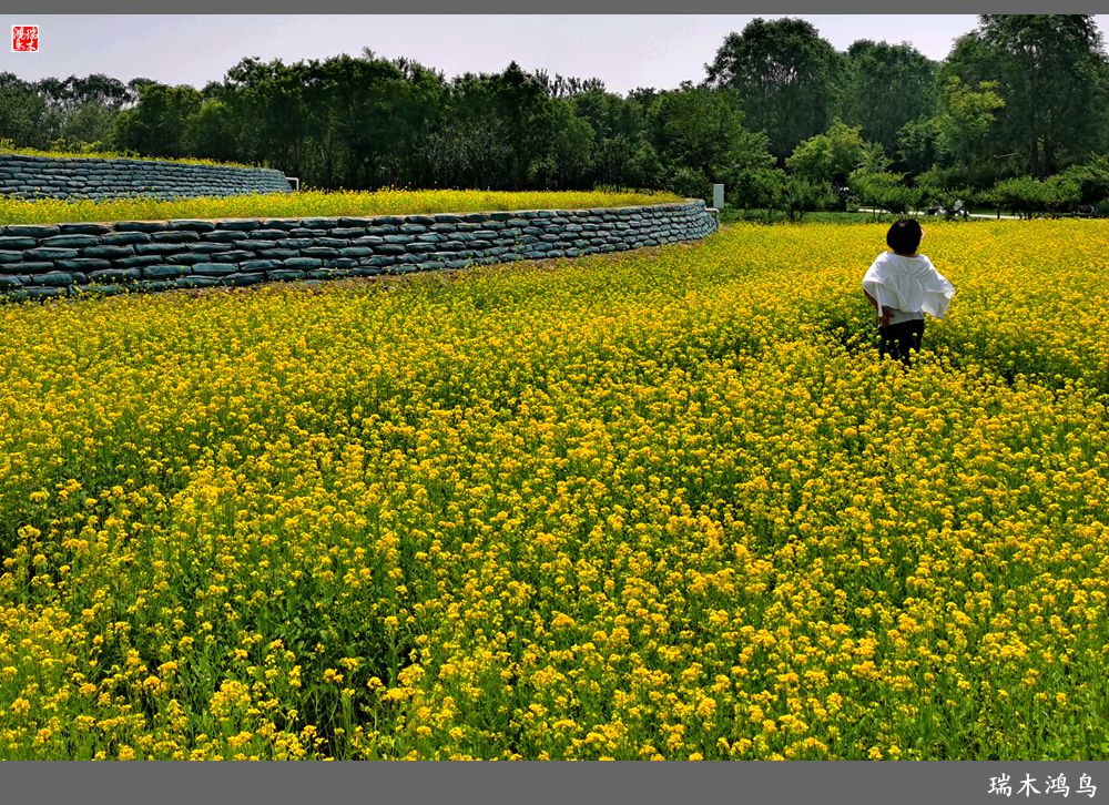 【印象北坞】层层梯田水映天空光