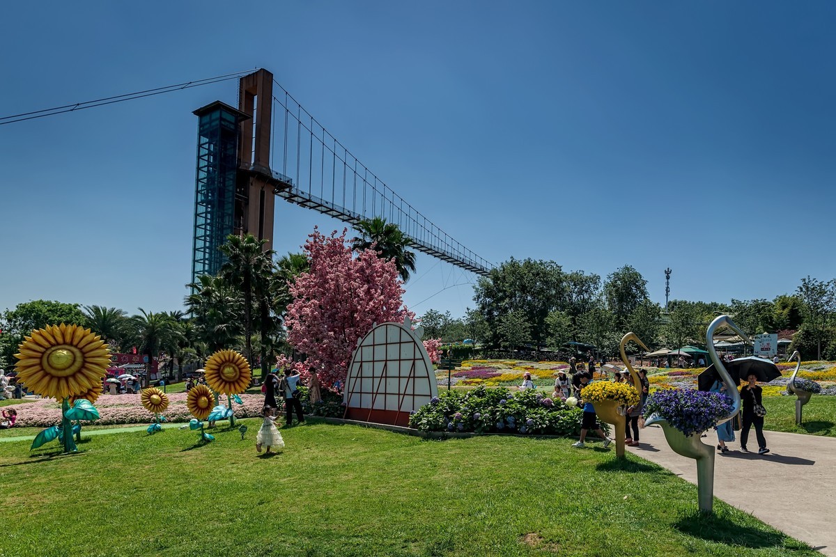 漫花山庄·玫瑰花