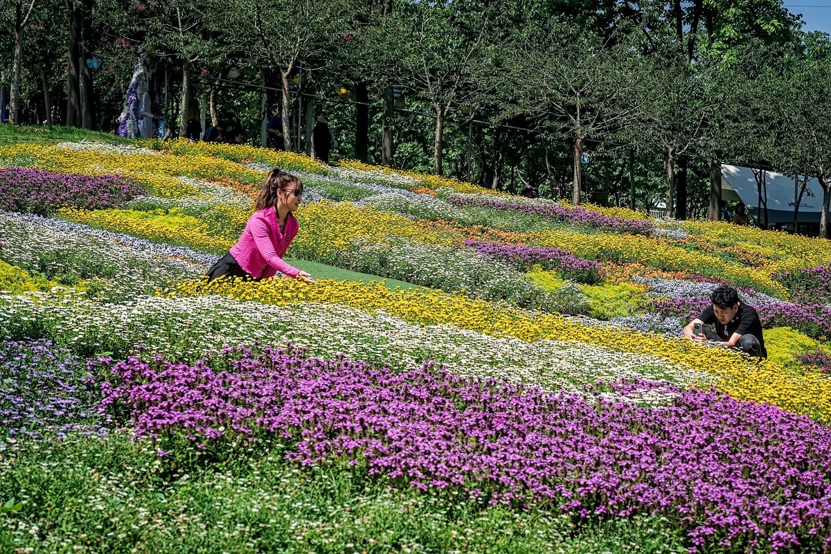 漫花山庄·玫瑰花