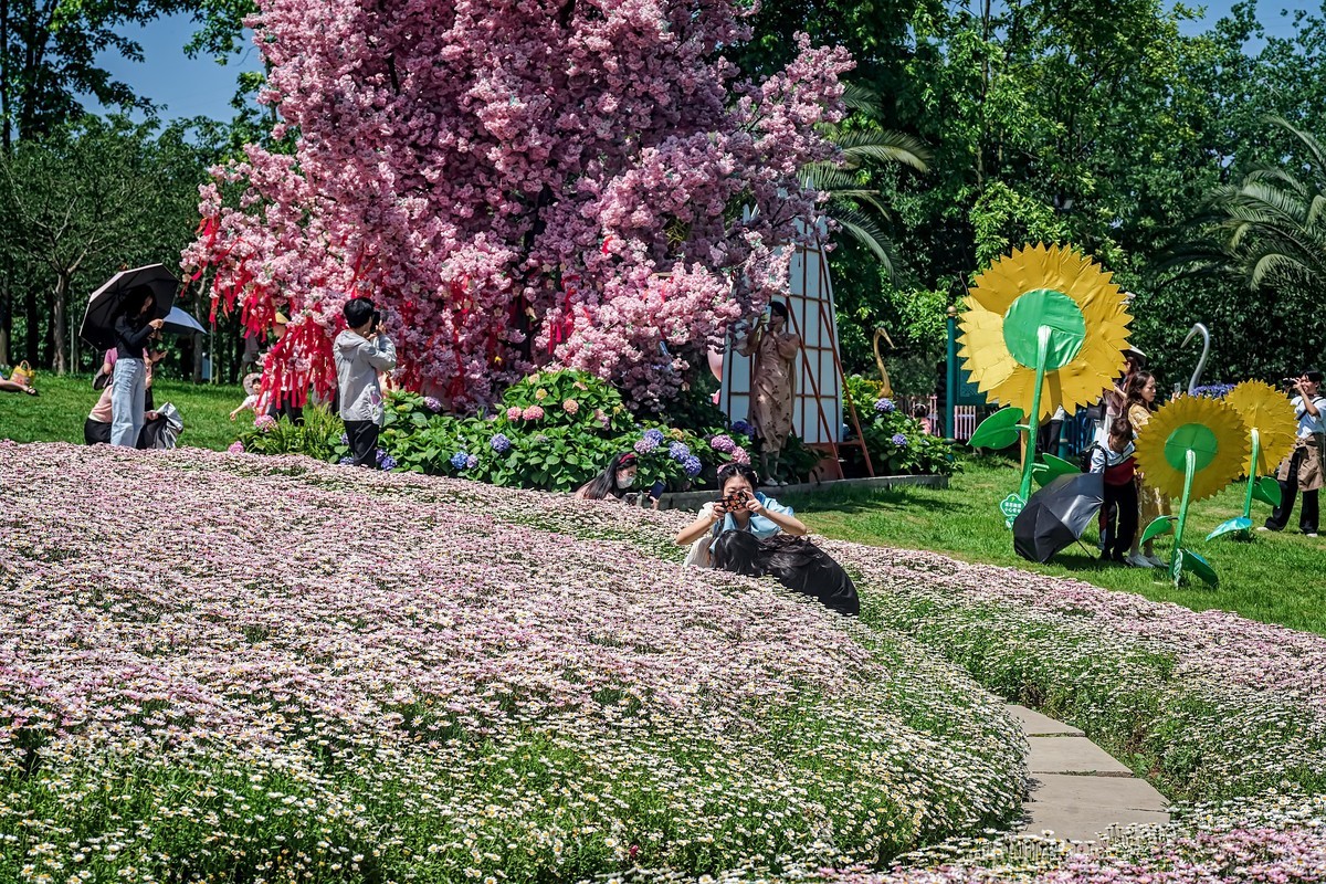 漫花山庄·玫瑰花