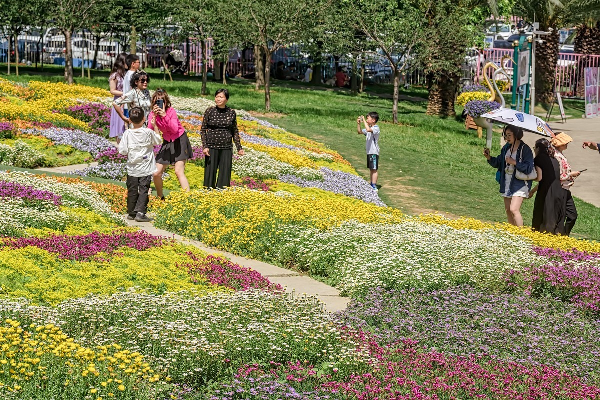 漫花山庄·玫瑰花