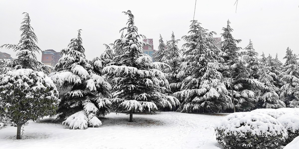 下雪了（手机版）
