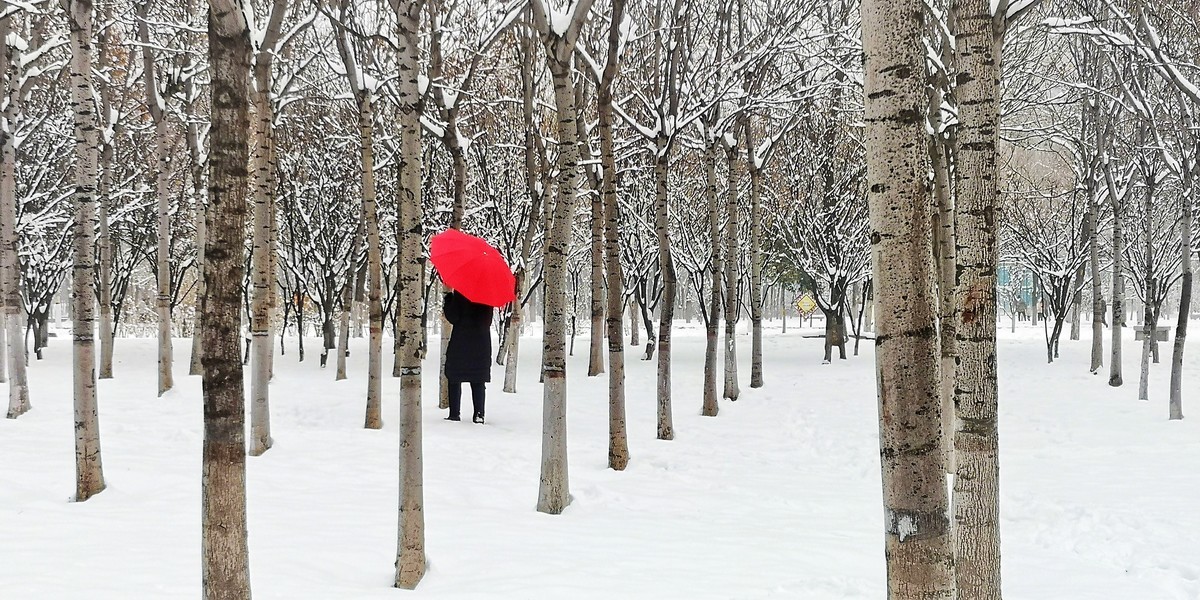 下雪了（手机版）