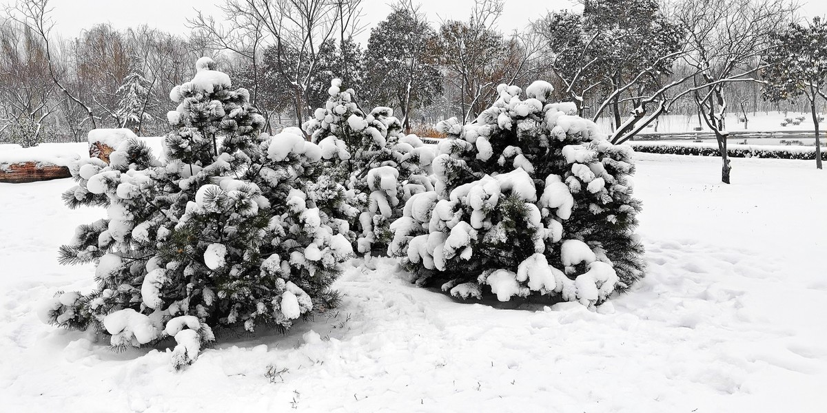 下雪了（手机版）