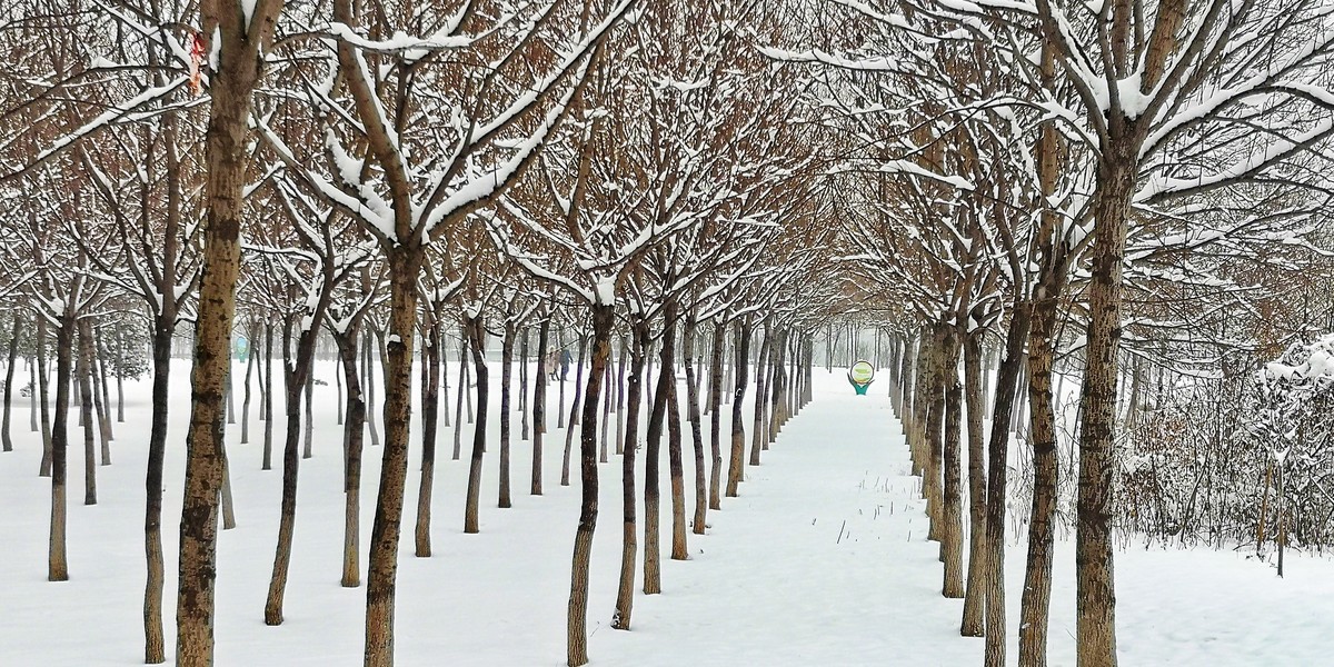 下雪了（手机版）