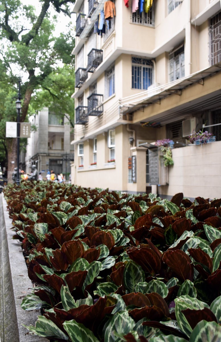 2023秋 广东行（26）广州  黄沙