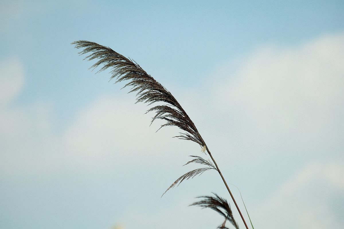 用了转接口的试机帖（二）