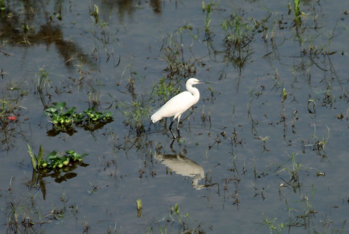 用了转接口的试机帖（二）