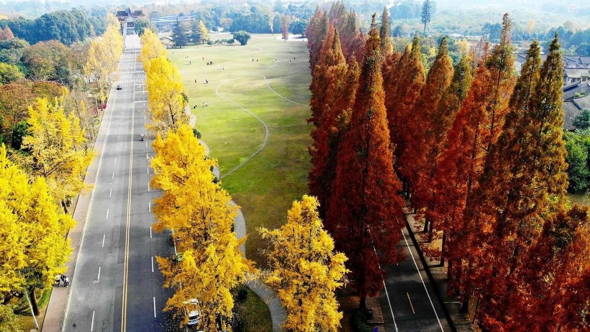 【航拍】红黄彩林印青城