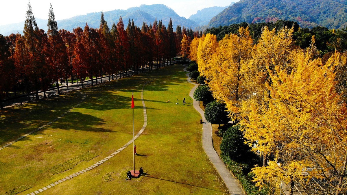 【航拍】红黄彩林印青城