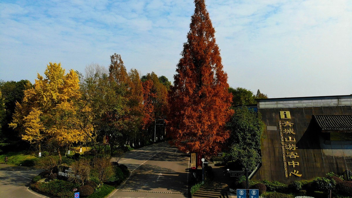 【航拍】红黄彩林印青城