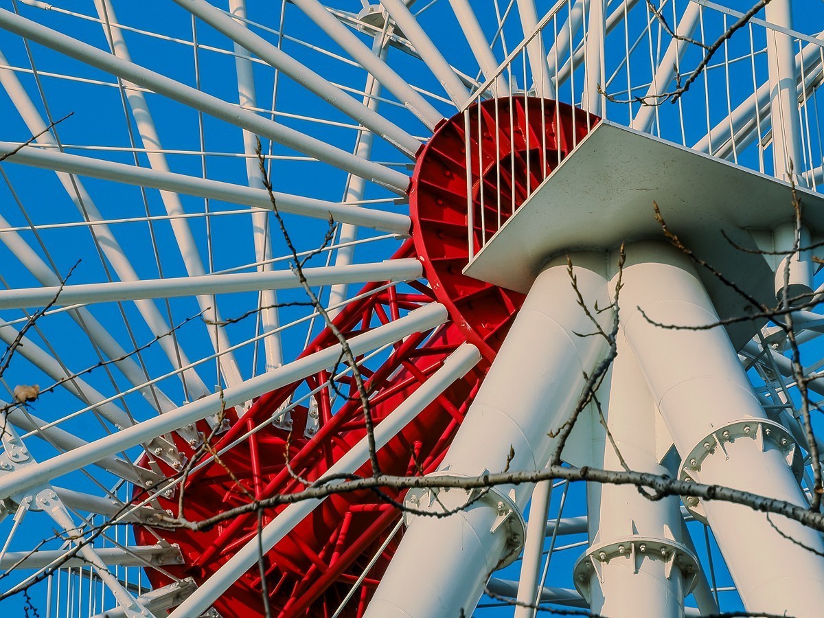 长寿花、腊梅、水边的石楠、摩天轮（OM-1Mark2第三次试拍）