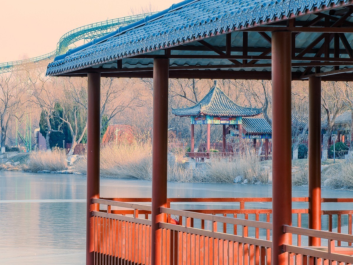 长寿花、腊梅、水边的石楠、摩天轮（OM-1Mark2第三次试拍）