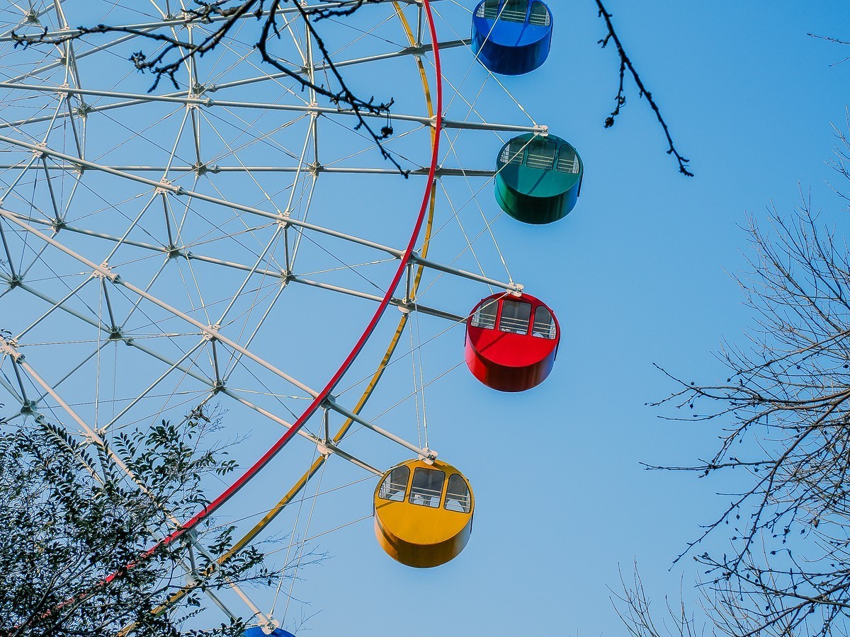 长寿花、腊梅、水边的石楠、摩天轮（OM-1Mark2第三次试拍）