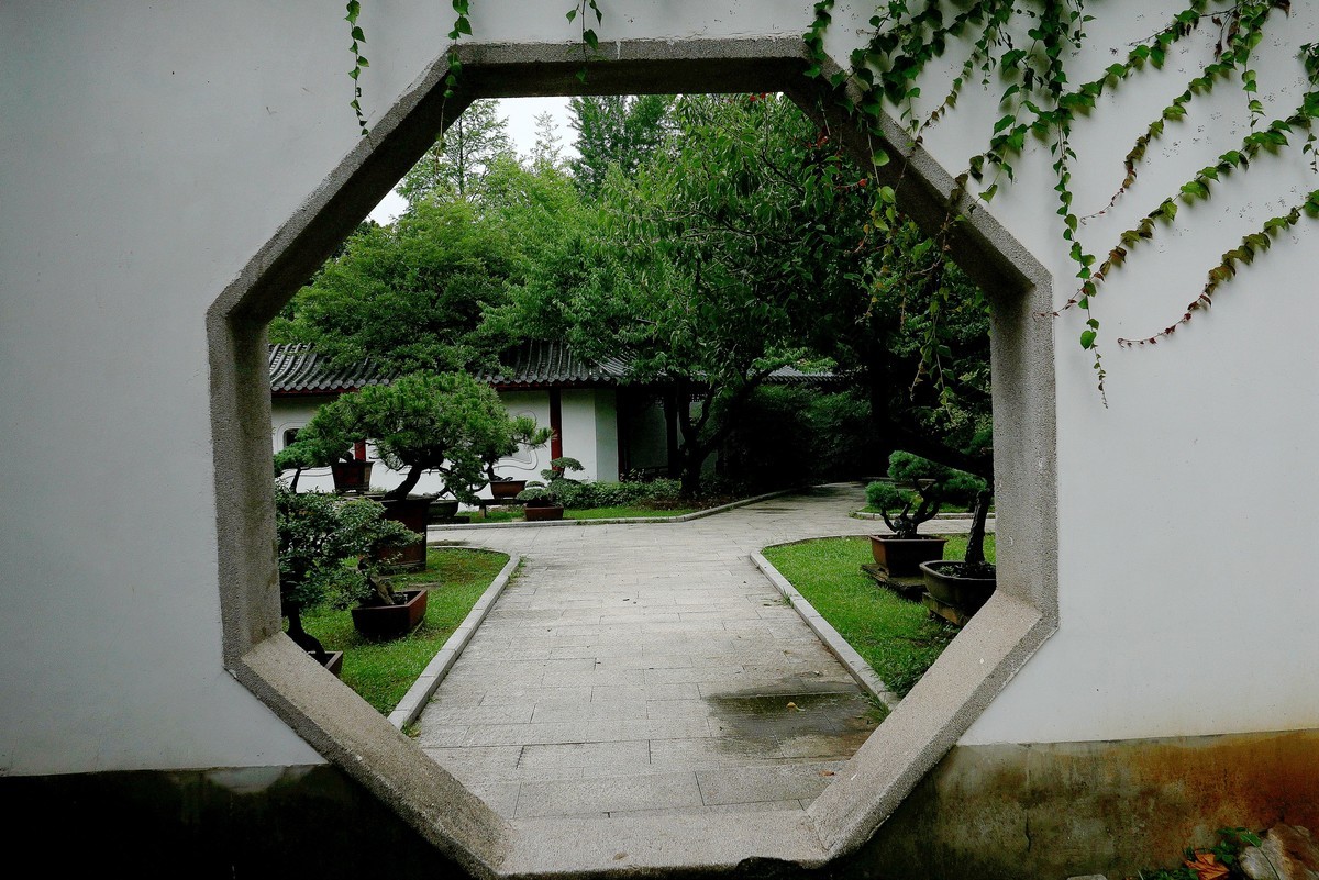 武汉映像---夏日的磨山荷花园！