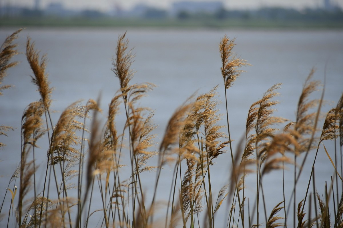 壮哉，美丽的大辽河！