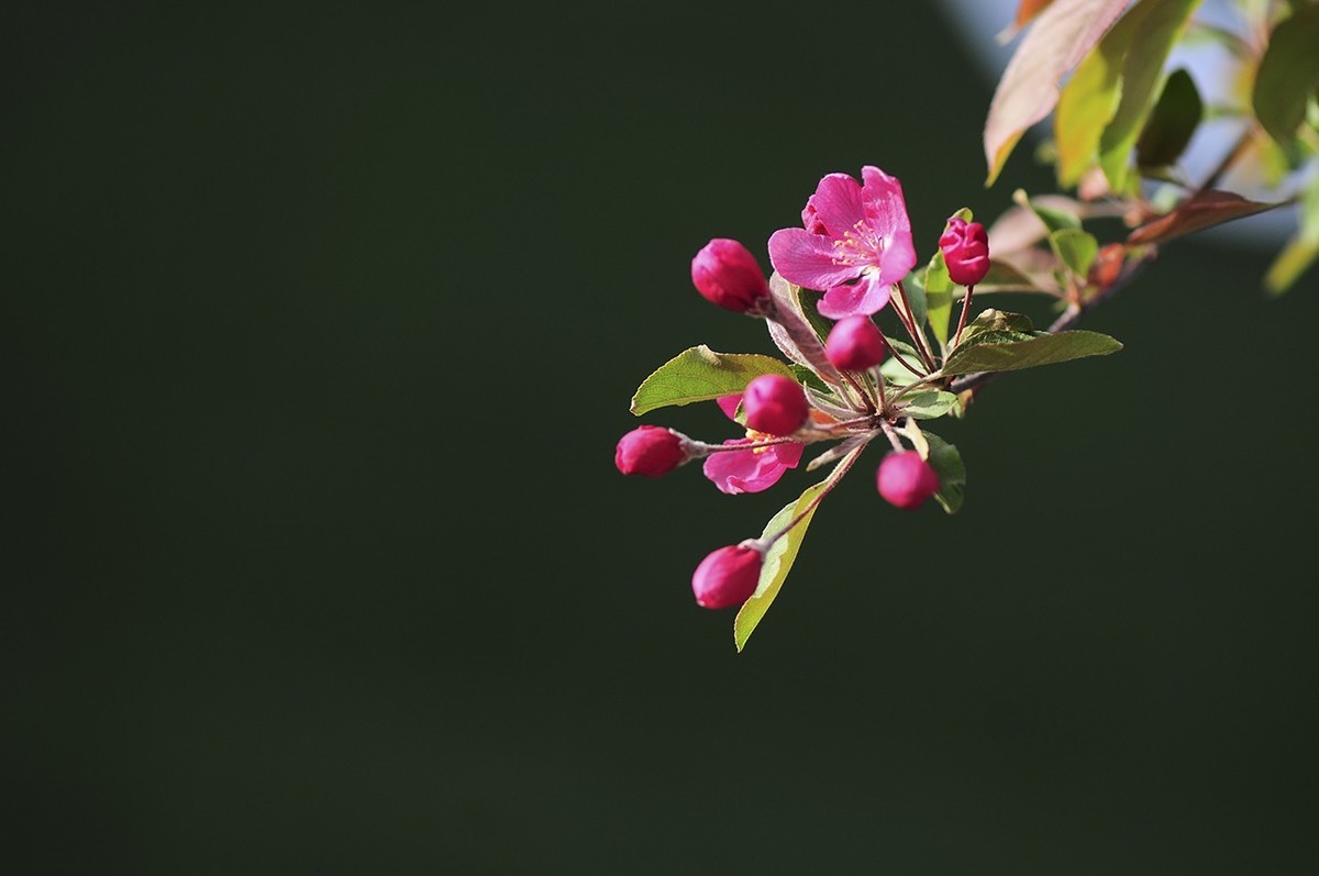 #版主坐堂#小五星空(中国)2022年7月精品荟萃