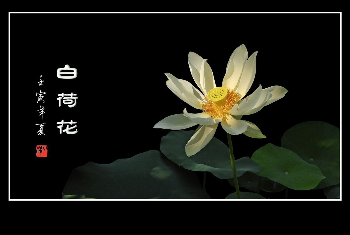 #版主坐堂#小五星空(中国)2022年7月精品荟萃