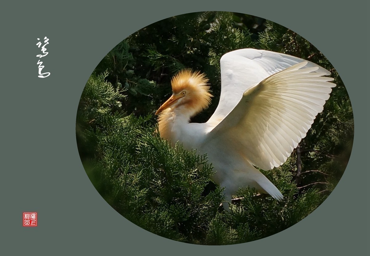 #版主坐堂#索尼大版星空(中国)2022年7月份优秀作品精选汇总