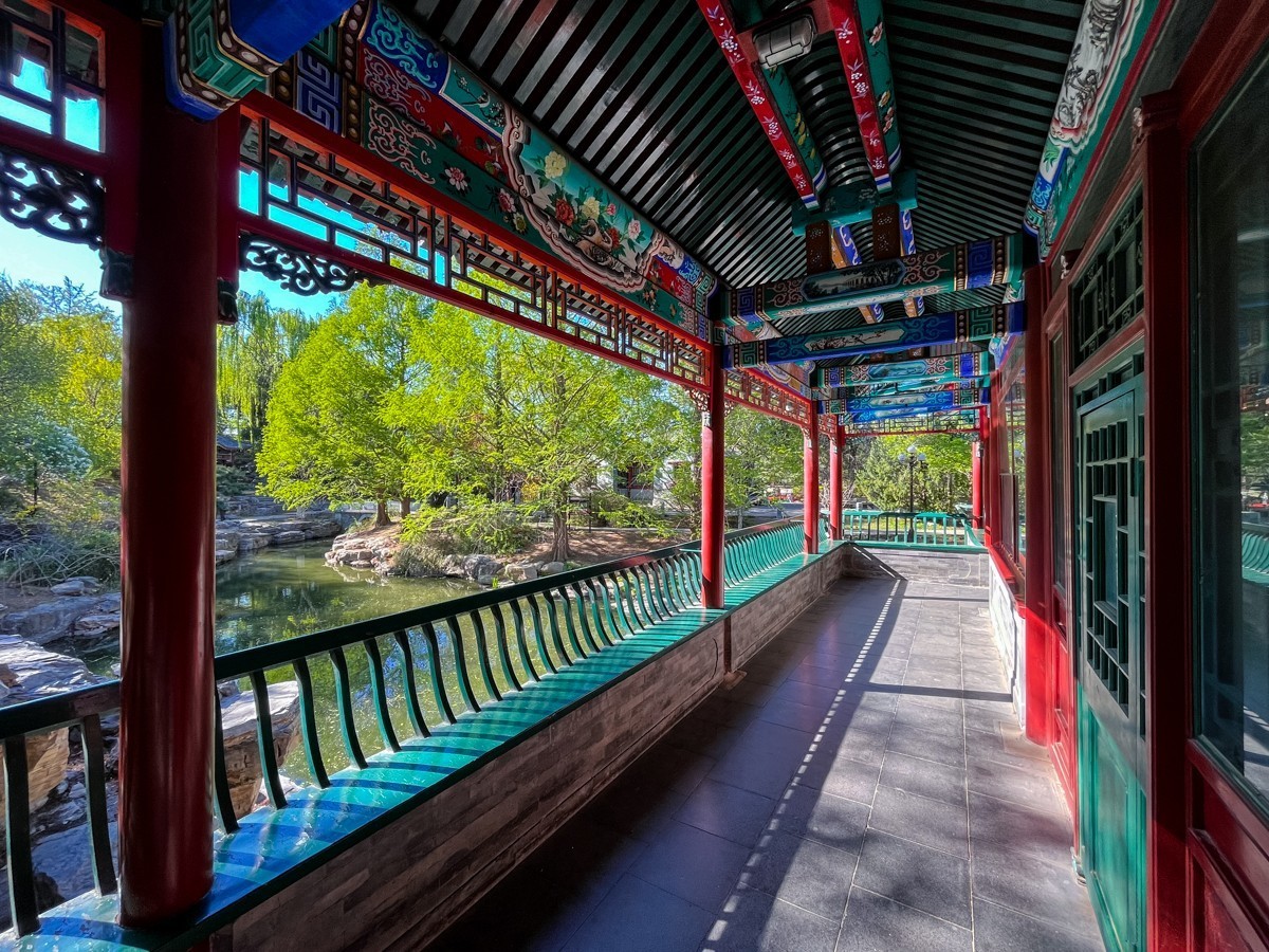 2023年第0245贴-中山公园纪实抓拍（0412F）