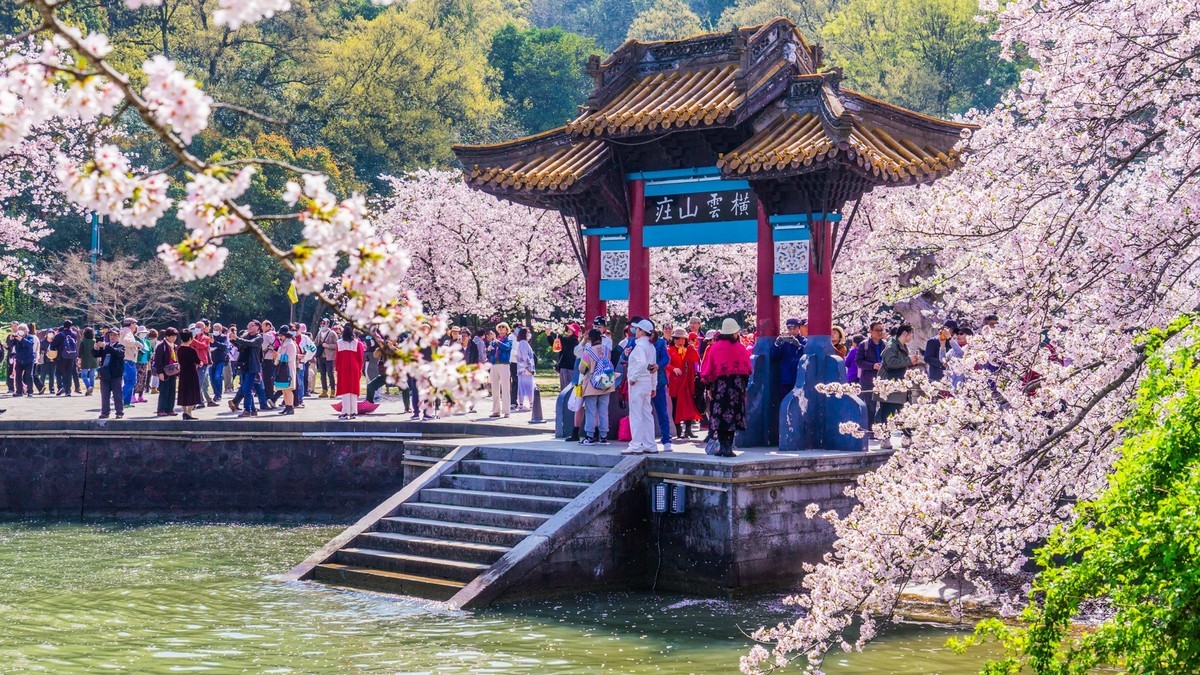 2023年春------无锡鼋头渚春色（四）